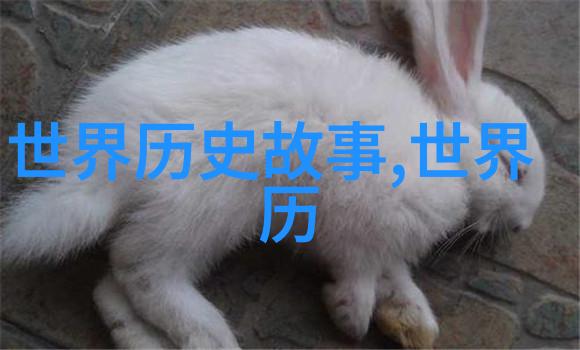 马背上最美的女人
